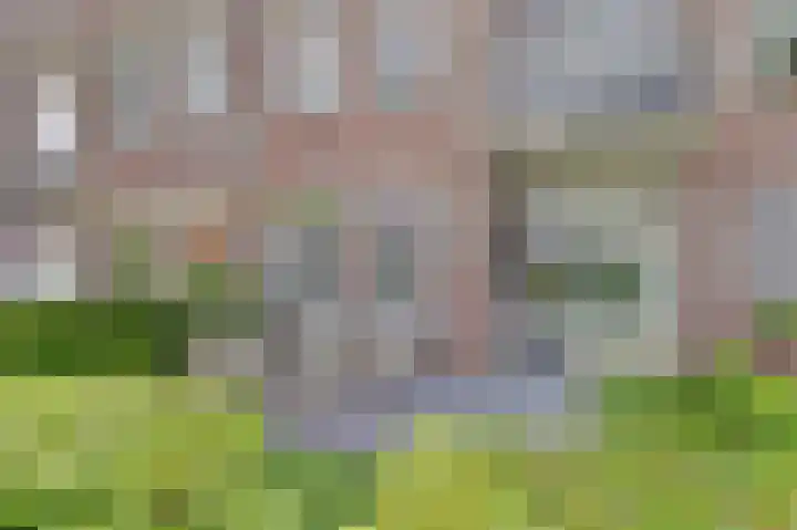 Dirk IV-plein 2 Hoornaar thumbnail 22
