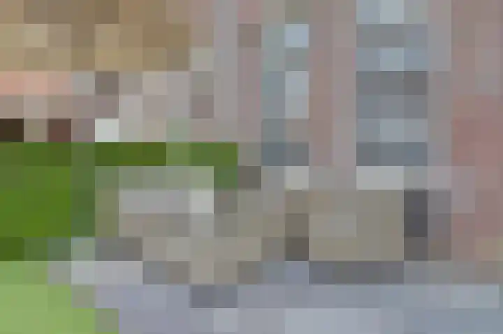 Dirk IV-plein 2 Hoornaar thumbnail 23