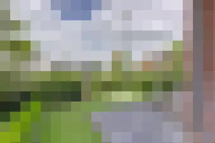 Dirk IV-plein 2 Hoornaar thumbnail 24