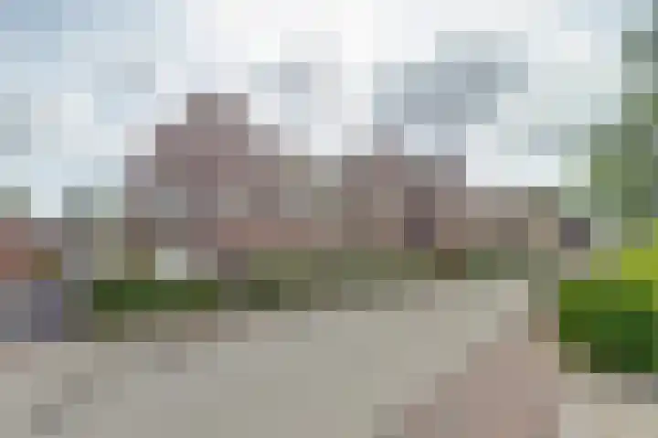 Dirk IV-plein 2 Hoornaar thumbnail 27