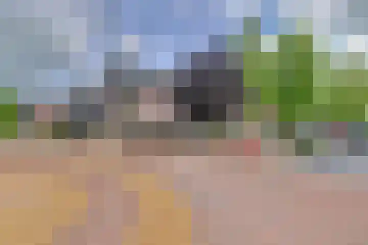 Dirk IV-plein 2 Hoornaar thumbnail 28