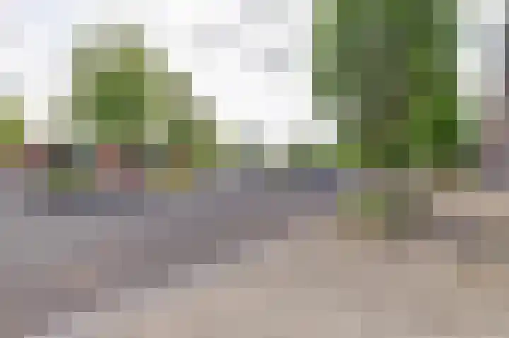 Dirk IV-plein 2 Hoornaar thumbnail 30
