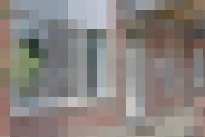 Dirk IV-plein 2 Hoornaar thumbnail 31