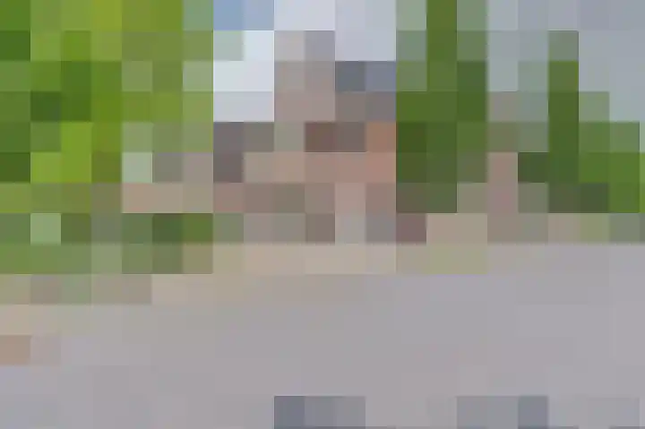 Dirk IV-plein 2 Hoornaar thumbnail 32