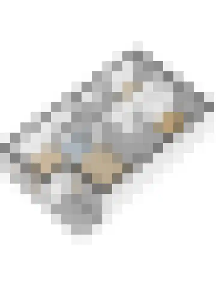 Dirk IV-plein 2 Hoornaar thumbnail 34