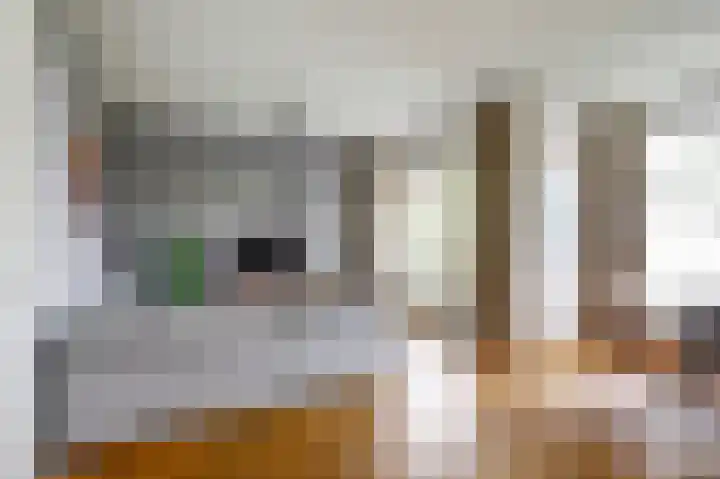 Dirk IV-plein 2 Hoornaar thumbnail 5
