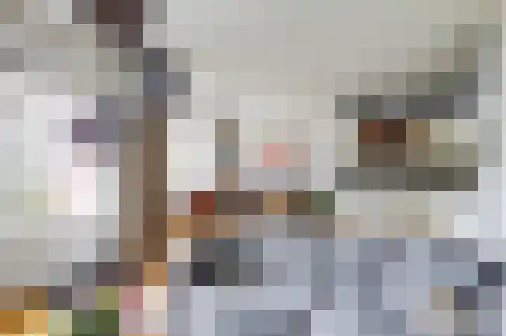 Dirk IV-plein 2 Hoornaar thumbnail 6