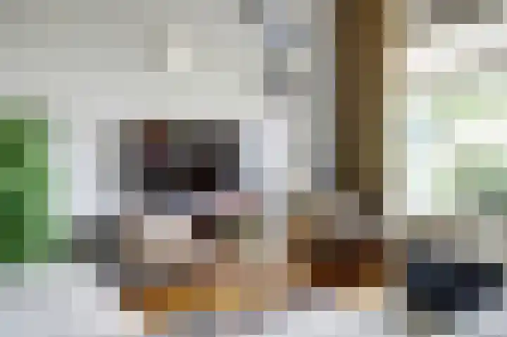 Dirk IV-plein 2 Hoornaar thumbnail 7