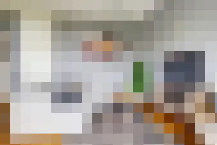 Dirk IV-plein 2 Hoornaar thumbnail 8