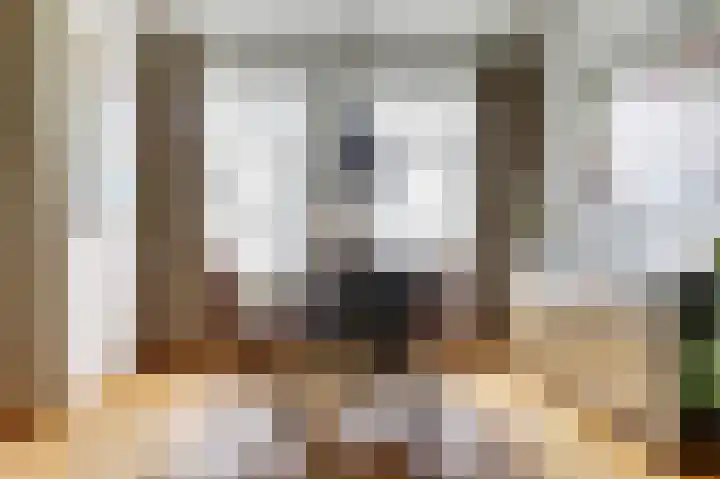 Dirk IV-plein 2 Hoornaar thumbnail 9