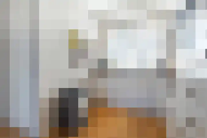 Dirk IV-plein 30 Hoornaar thumbnail 13