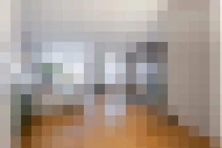 Dirk IV-plein 30 Hoornaar thumbnail 15
