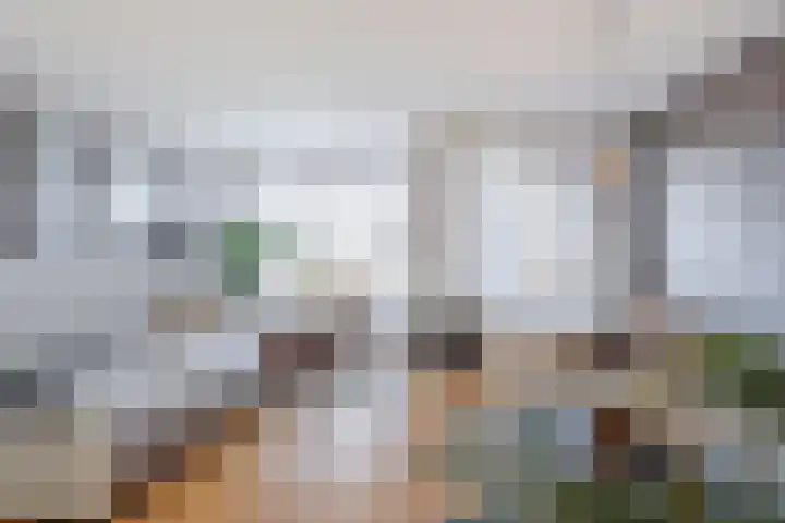 Dirk IV-plein 30 Hoornaar thumbnail 16
