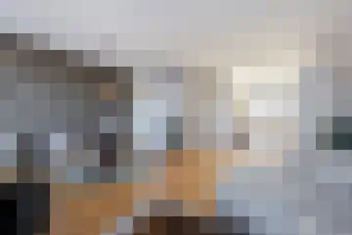 Dirk IV-plein 30 Hoornaar thumbnail 19