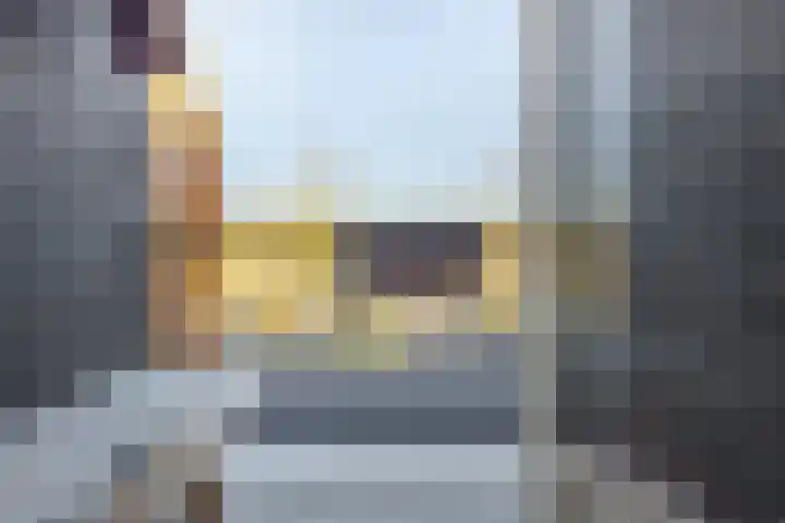 Dirk IV-plein 30 Hoornaar thumbnail 4