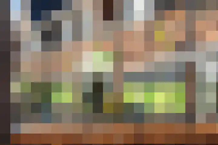 Dirk IV-plein 30 Hoornaar thumbnail 6