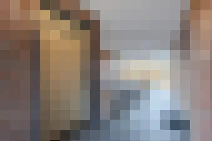 Dirk IV-plein 30 Hoornaar thumbnail 9