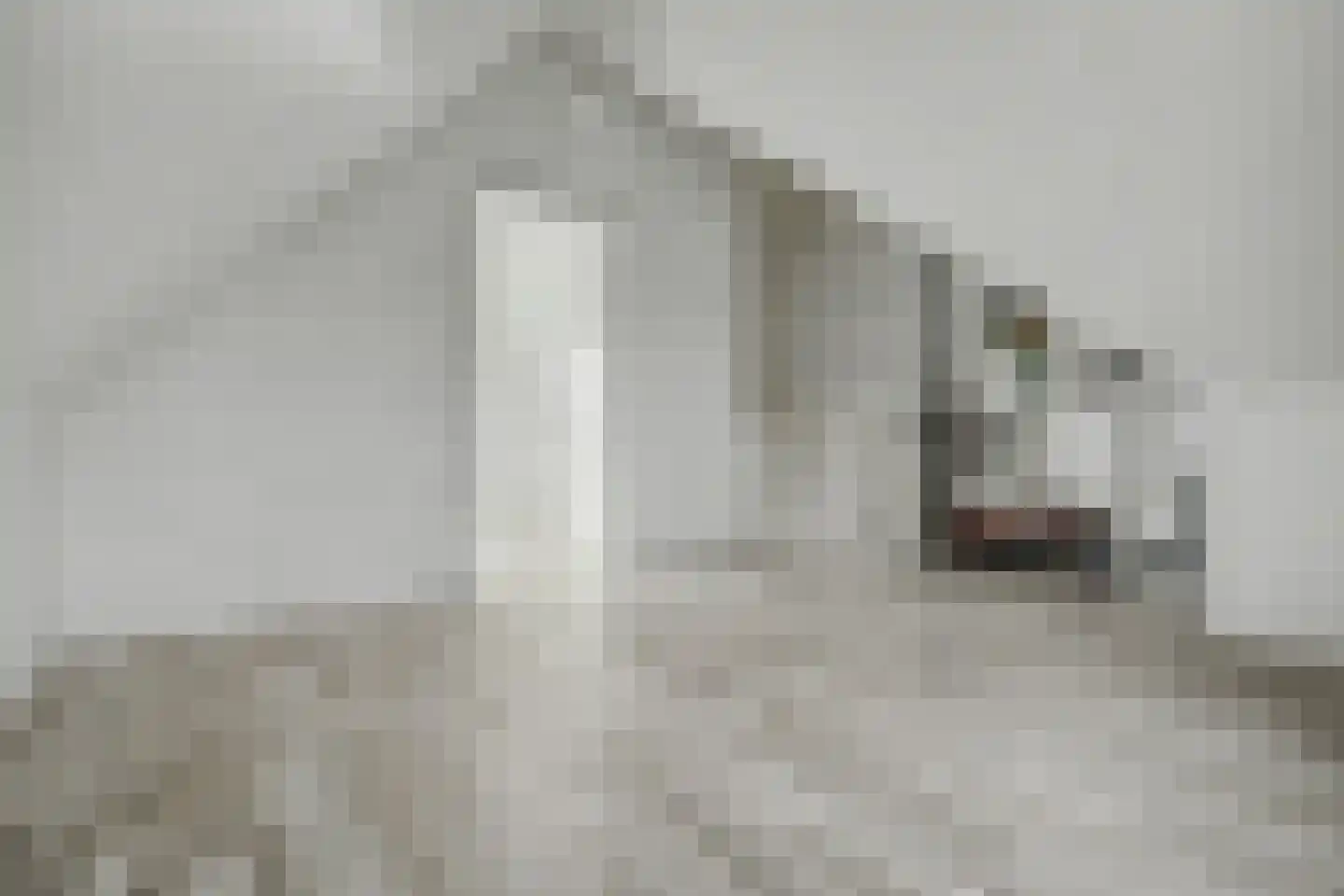 Dirk Jan Blomstraat 23 Kruiningen thumbnail 20