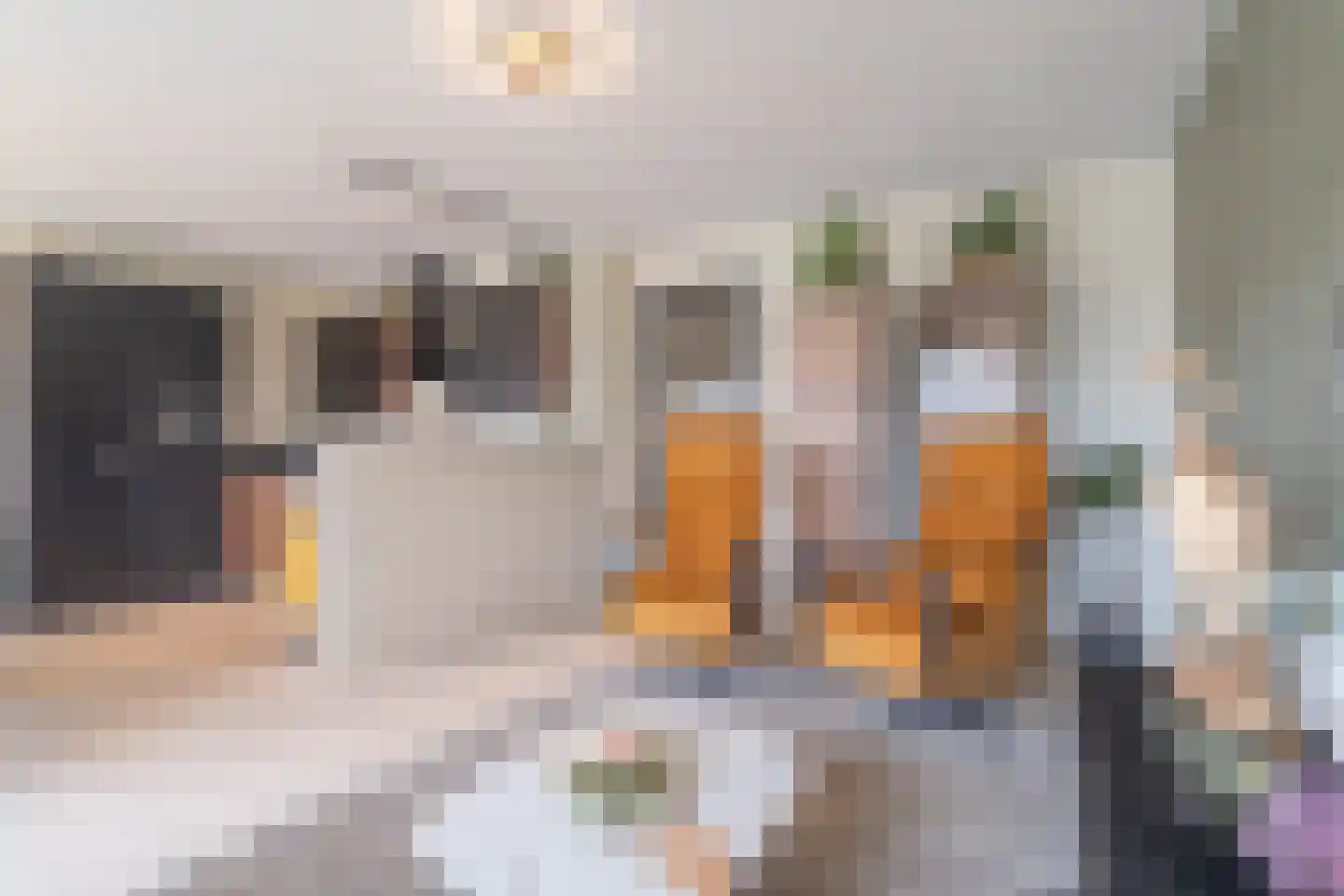 Dirk Jan Blomstraat 9 Kruiningen thumbnail 11