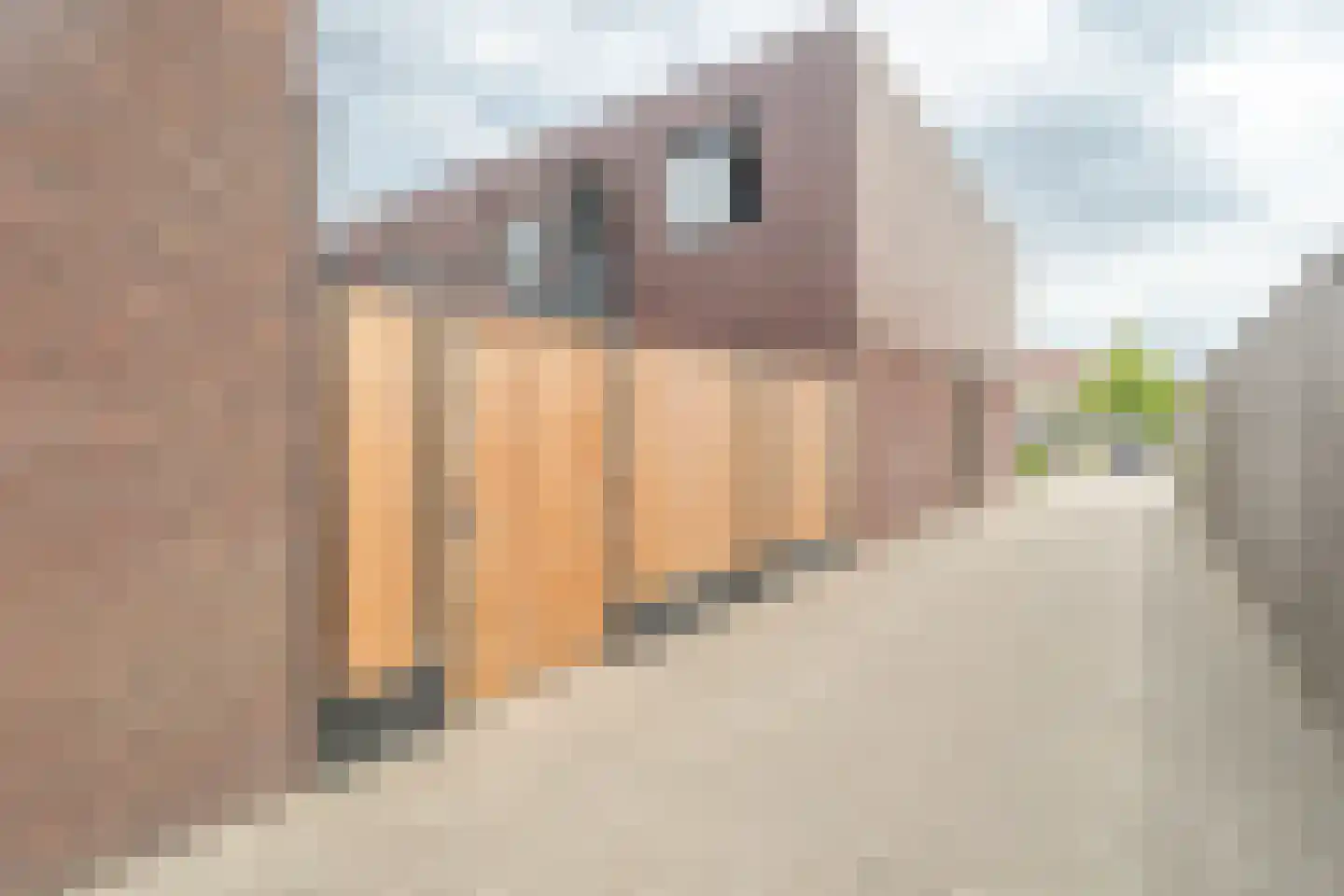 Dirk Jan Blomstraat 9 Kruiningen thumbnail 32