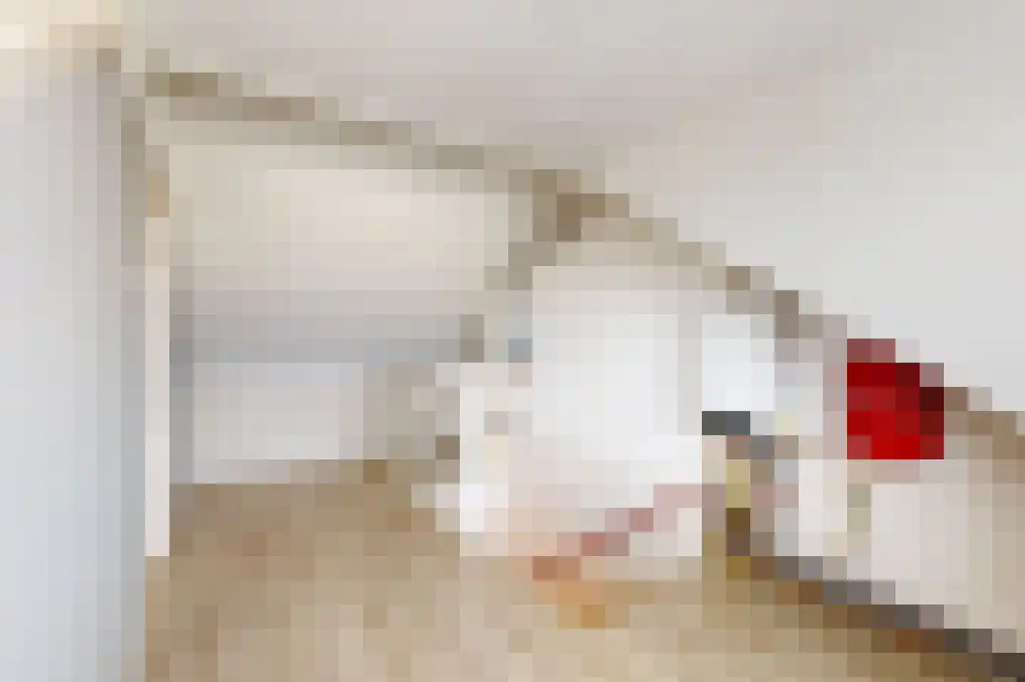 Dirk Kampstraat 27 Scharwoude thumbnail 17