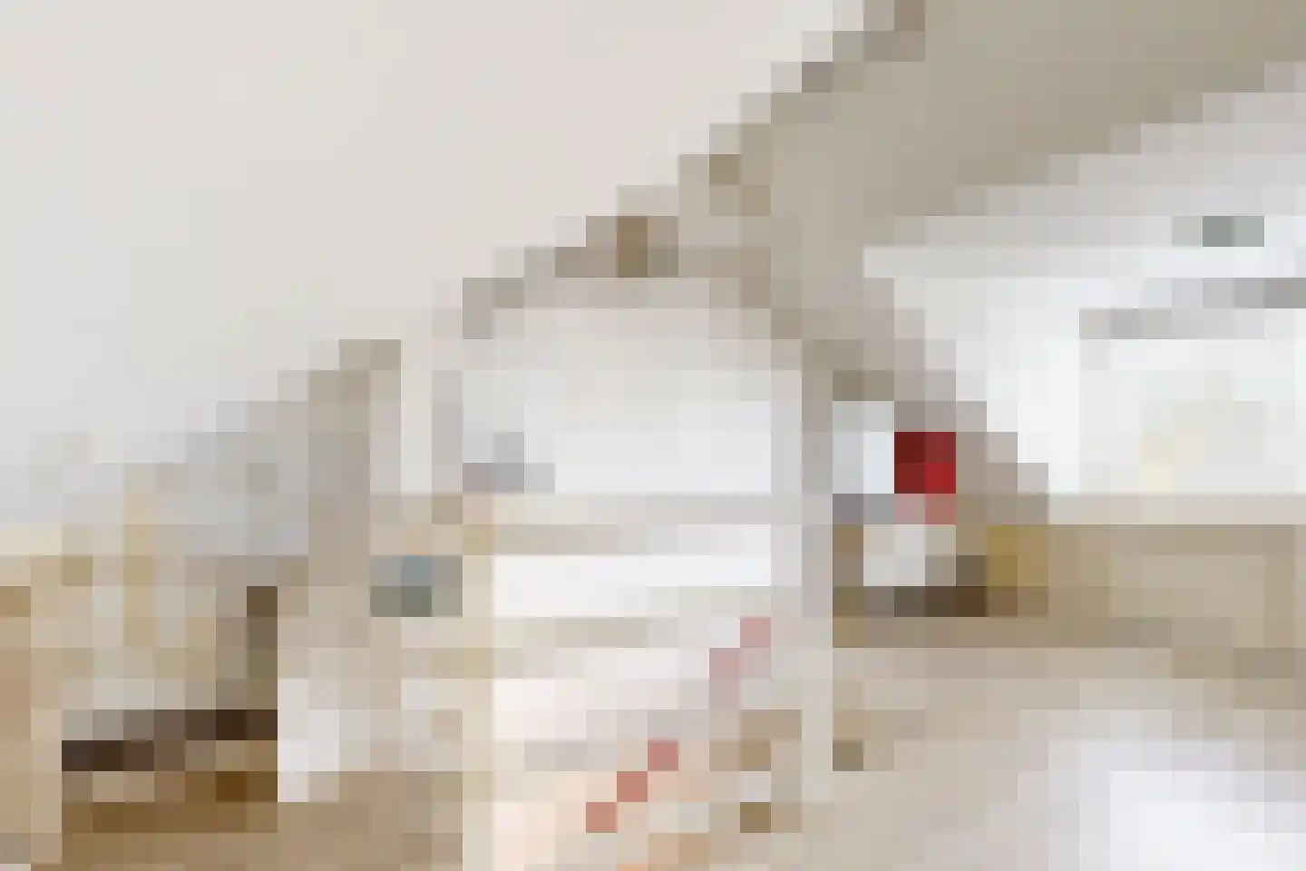 Dirk Kampstraat 27 Scharwoude thumbnail 18