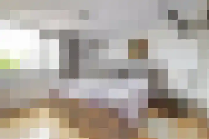 Dirk Karsstraat 43 Leerdam thumbnail 16