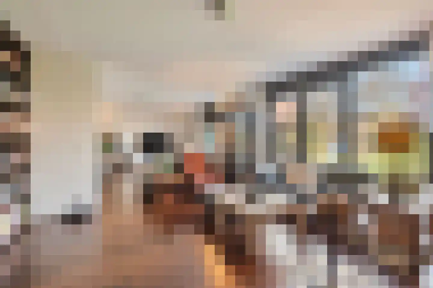 Dirk Kluifhoofdstraat 15 Numansdorp thumbnail 12