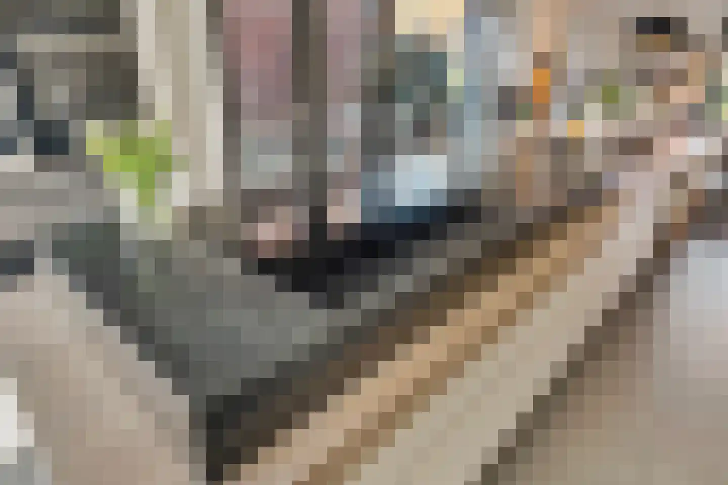 Dirk Kluifhoofdstraat 15 Numansdorp thumbnail 20