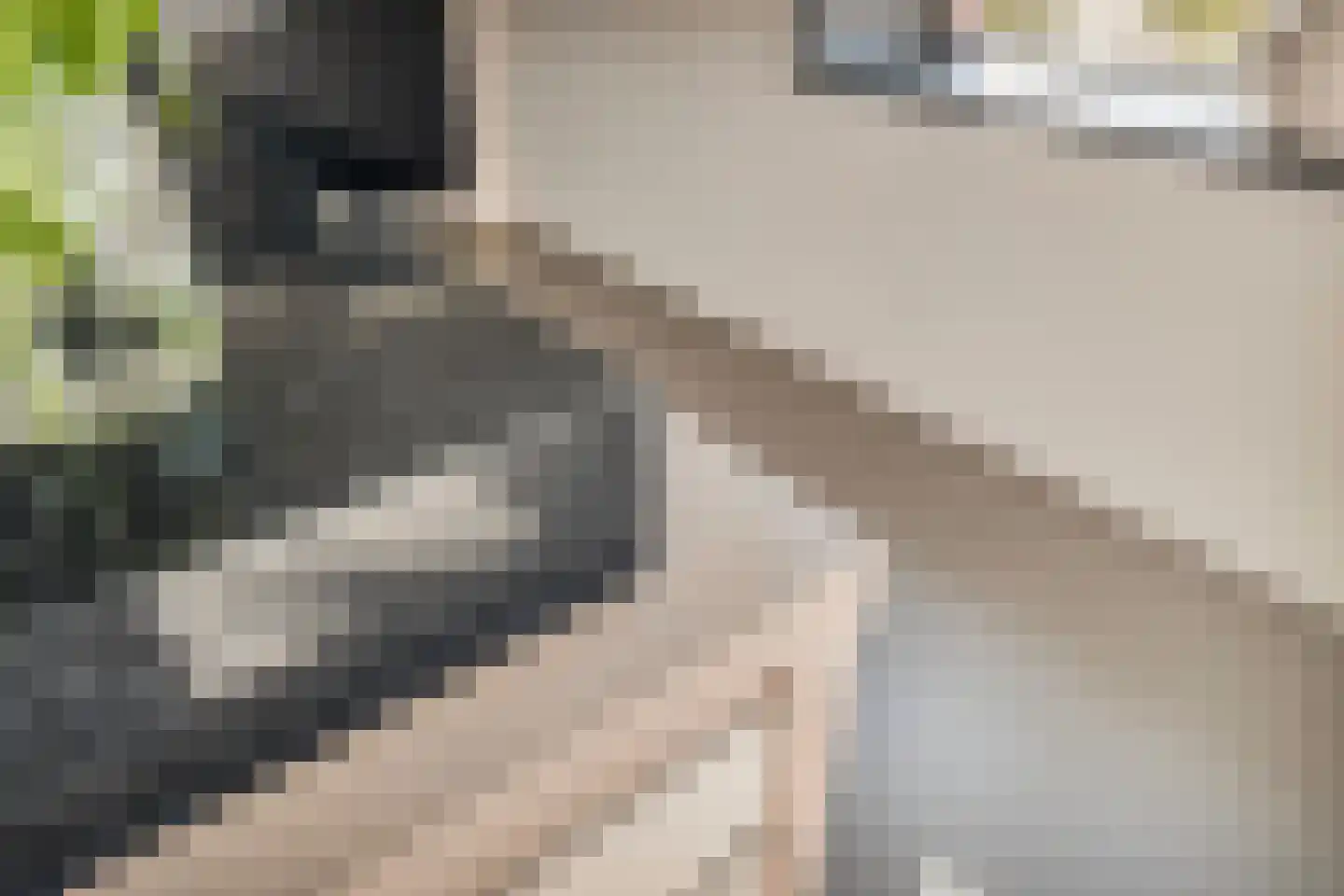 Dirk Kluifhoofdstraat 15 Numansdorp thumbnail 21