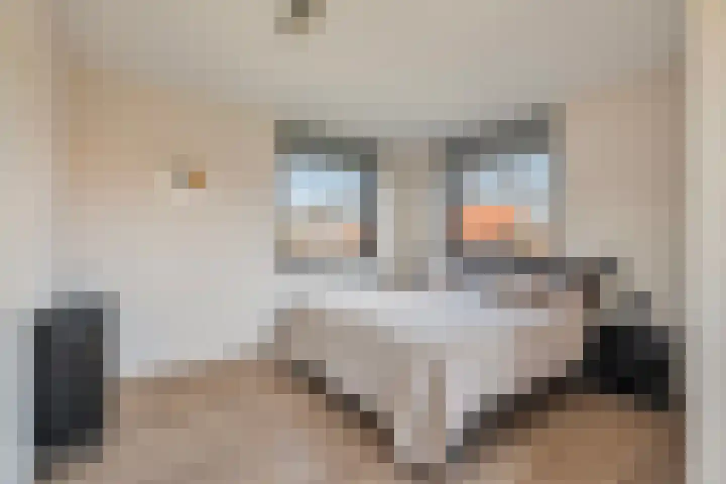 Dirk Kluifhoofdstraat 15 Numansdorp thumbnail 27