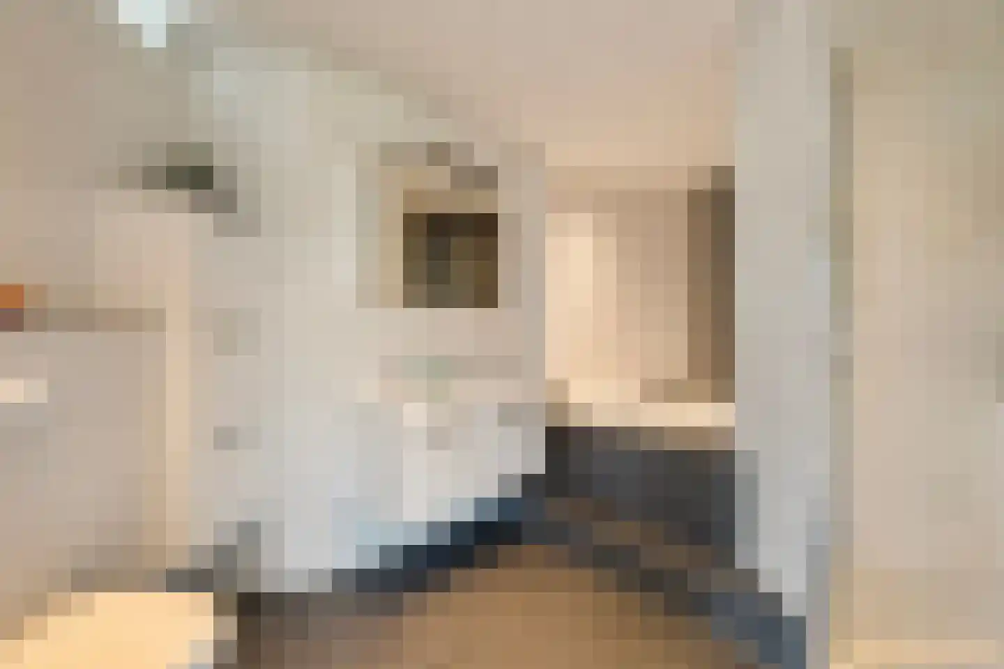 Dirk Kluifhoofdstraat 15 Numansdorp thumbnail 29