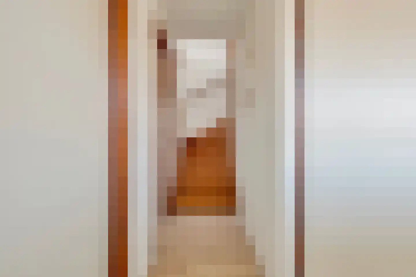 Dirk Kluifhoofdstraat 15 Numansdorp thumbnail 38