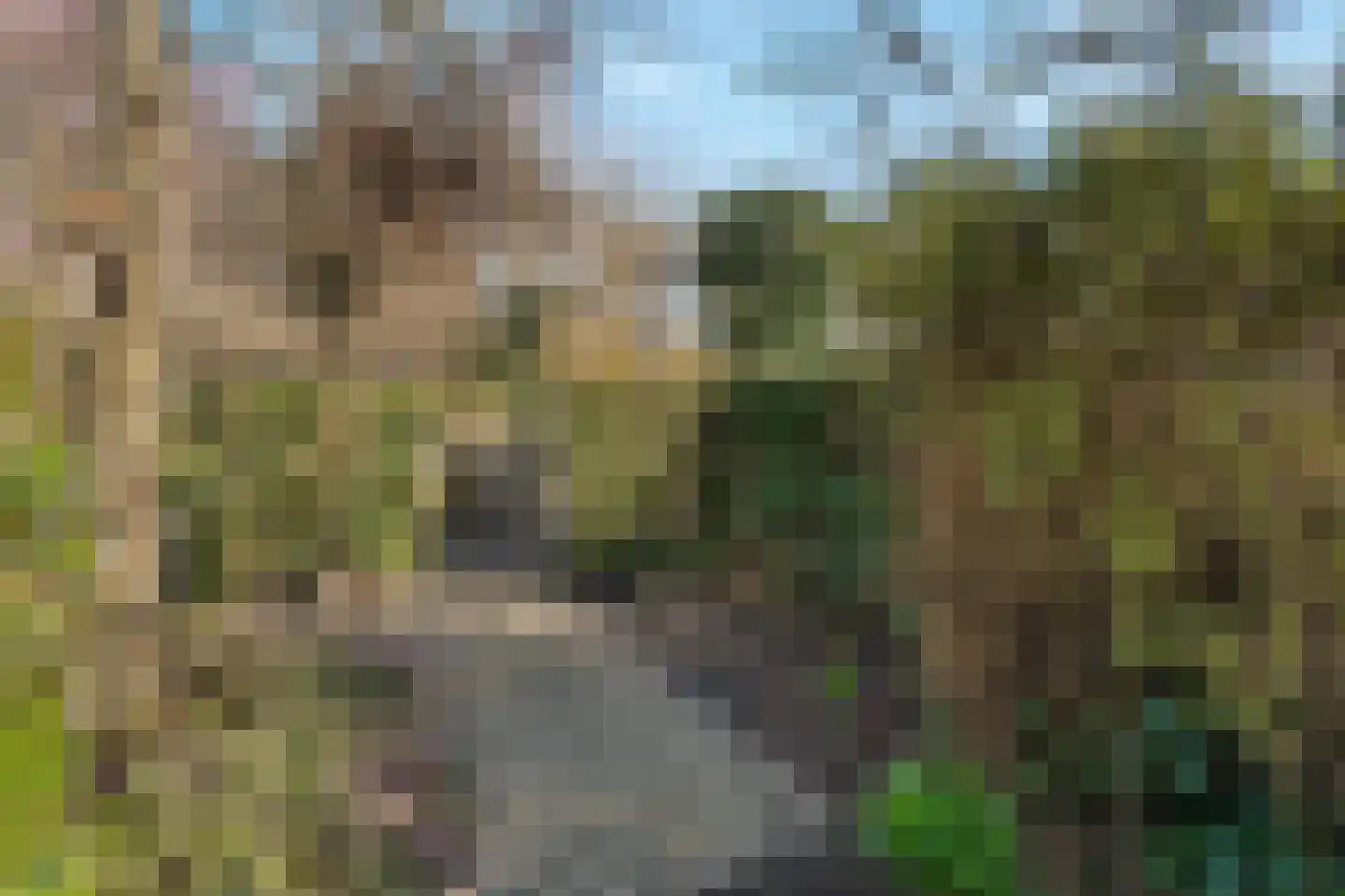 Dirk Kluifhoofdstraat 15 Numansdorp thumbnail 47