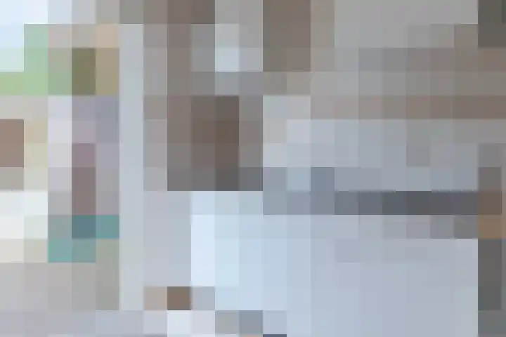 Dirk Ruitenbeekstraat 20 Nijkerkerveen thumbnail 7