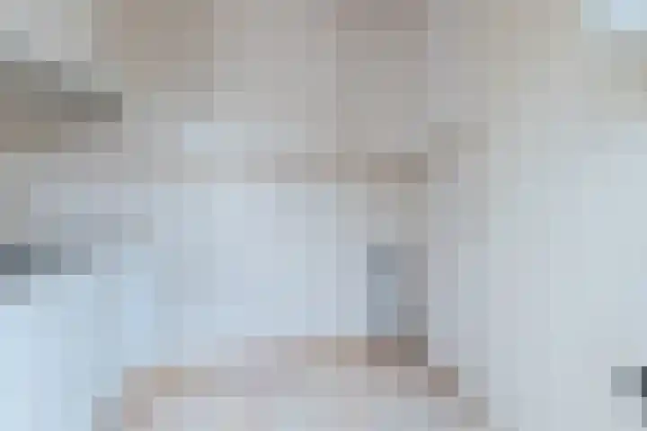 Dirk Ruitenbeekstraat 20 Nijkerkerveen thumbnail 8