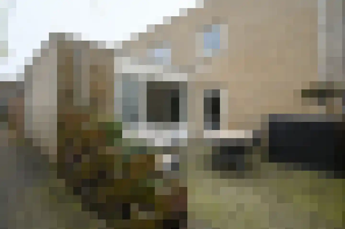 Dirk Schäferhof 19 Uithoorn thumbnail 17