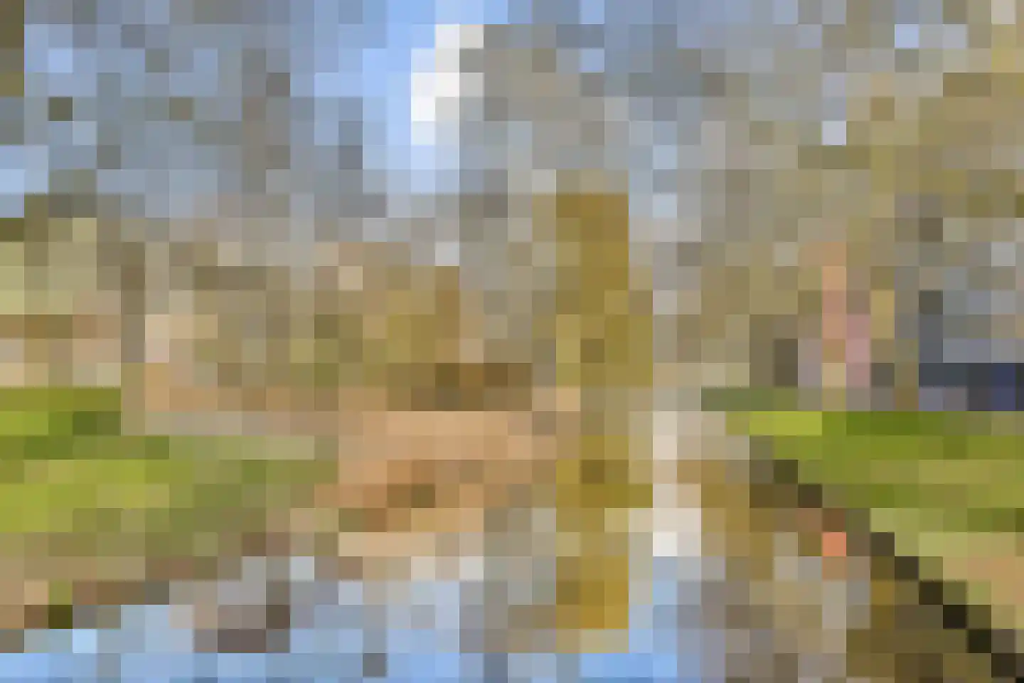Dirk Schäferplein 127 Schiedam thumbnail 22
