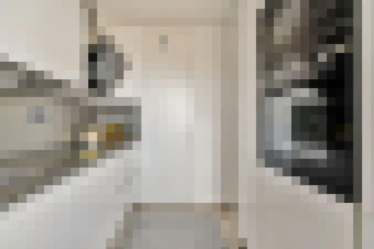 Dirk Schäferplein 127 Schiedam thumbnail 6