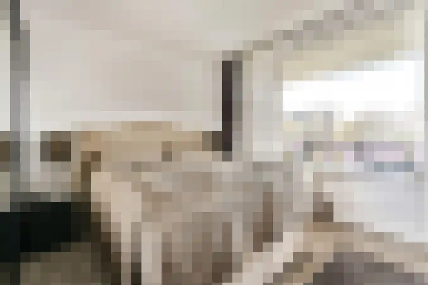 Dirk Schäferplein 127 Schiedam thumbnail 7