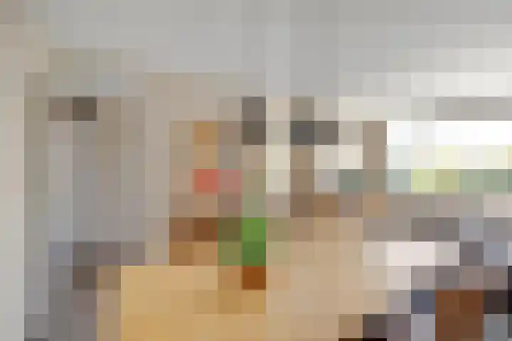 Dirk Schäferplein 139 Schiedam thumbnail 12