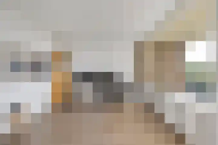 Dirk Schäferplein 139 Schiedam thumbnail 17
