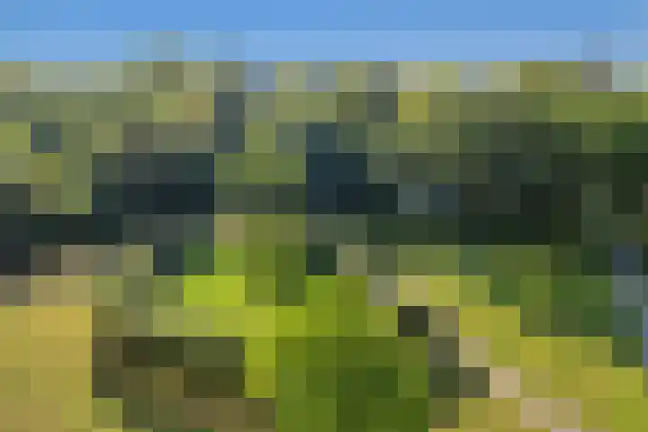 Dirk Schäferplein 139 Schiedam thumbnail 22