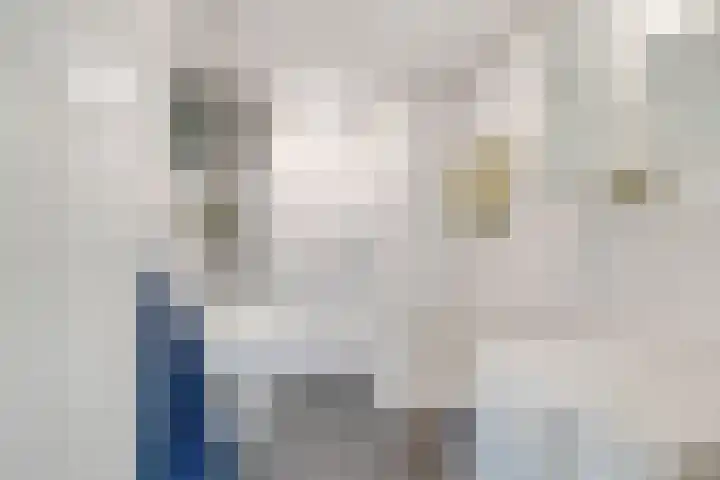 Dirk Schäferplein 139 Schiedam thumbnail 35