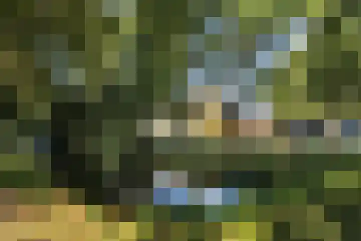 Dirk Schäferplein 139 Schiedam thumbnail 42