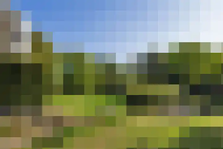 Dirk Schäferplein 139 Schiedam thumbnail 43