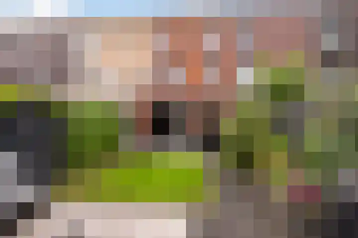 Dirk Schäferplein 155 Schiedam thumbnail 10
