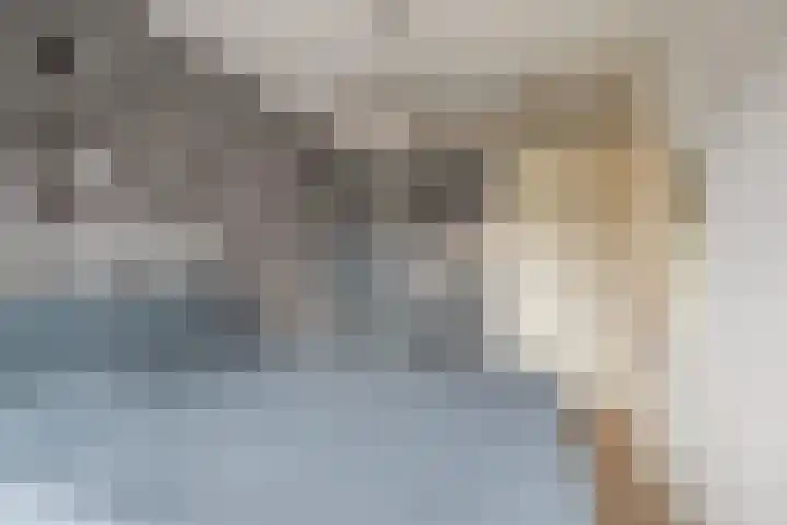 Dirk Schäferplein 155 Schiedam thumbnail 15