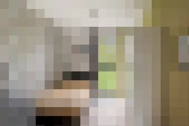 Dirk Schäferplein 155 Schiedam thumbnail 16