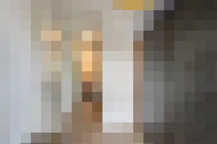 Dirk Schäferplein 155 Schiedam thumbnail 19